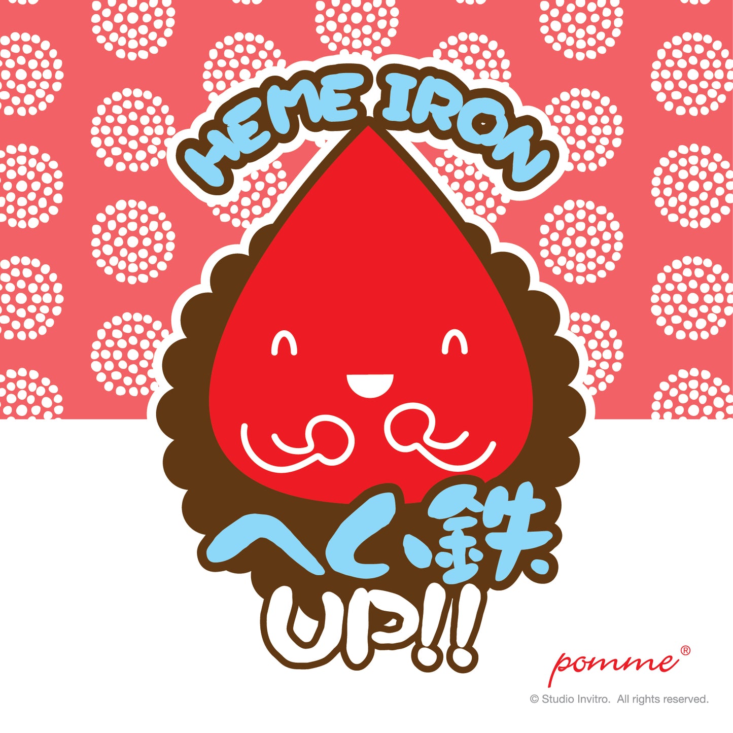 Chicken & Beef Jerky Stick 100g