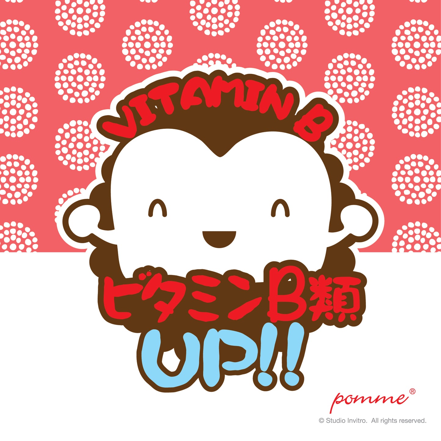 Chicken & Beef Jerky Stick 100g