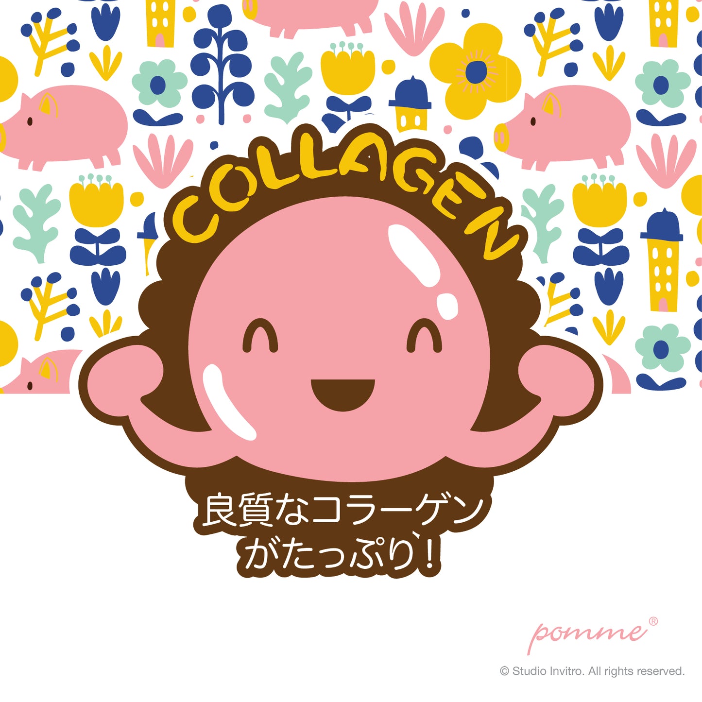 Non Addictives Sliced Pork Ear 40g