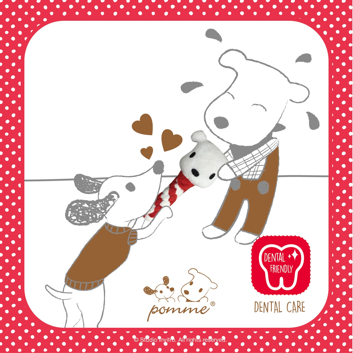 Dental Stick - Pomme