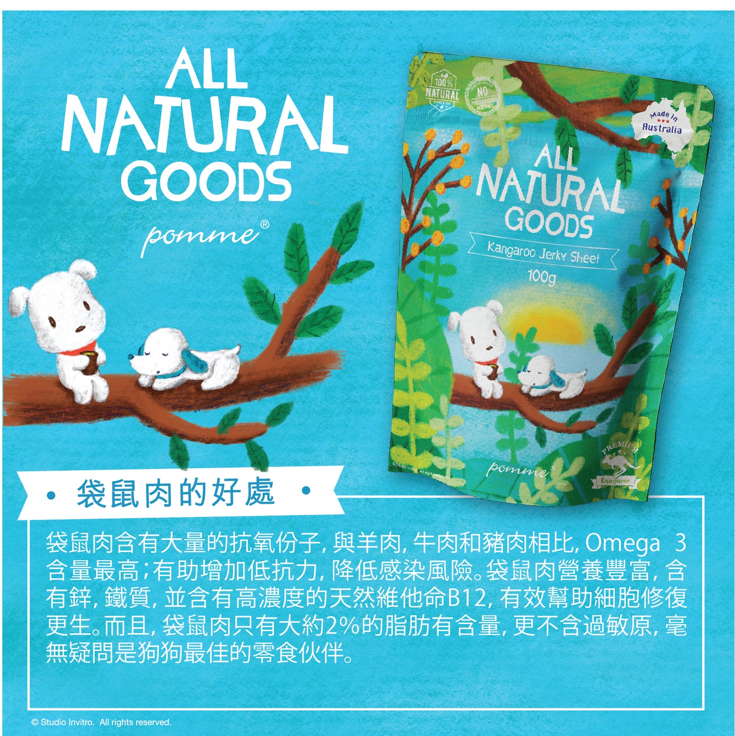 All Natural Kangaroo Jerky Sheet 100g