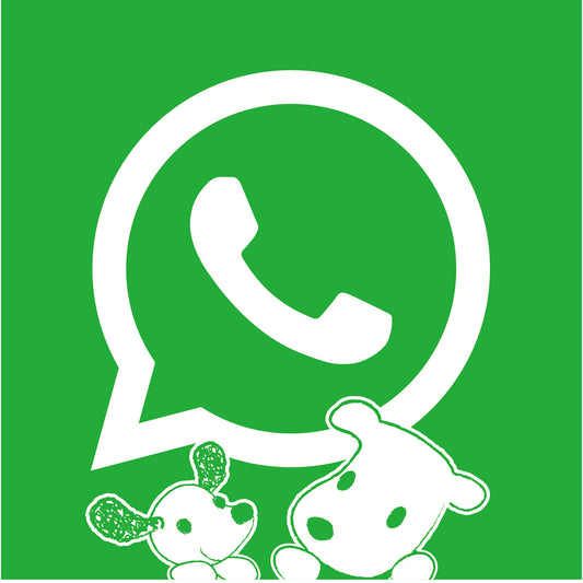 How to find Pomme in Whatsapp